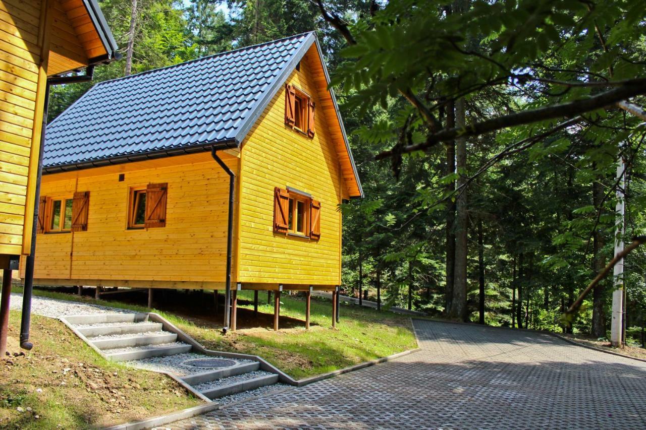Lesna Willa Pttk W Komanczy Komancza Ngoại thất bức ảnh