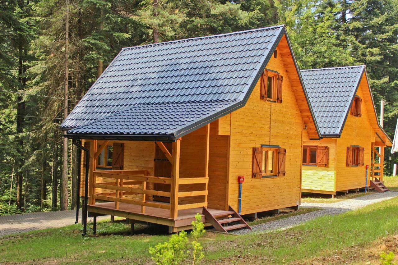 Lesna Willa Pttk W Komanczy Komancza Ngoại thất bức ảnh